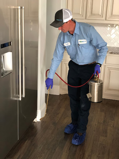 Professional Indoor Pest Control Treatment