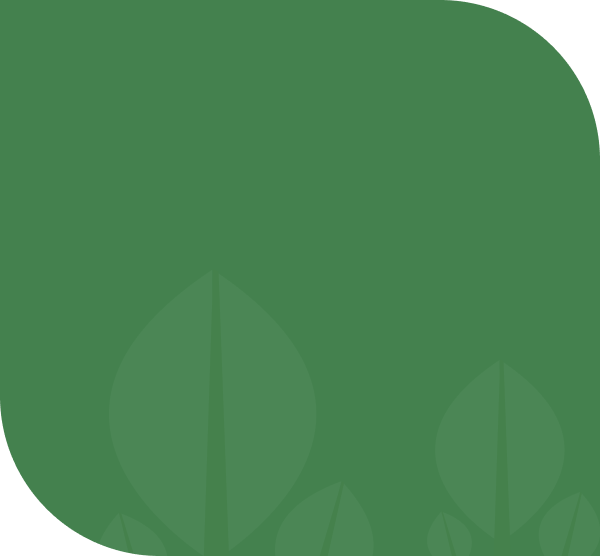 Professional mosquito control treatment in Texas backyard