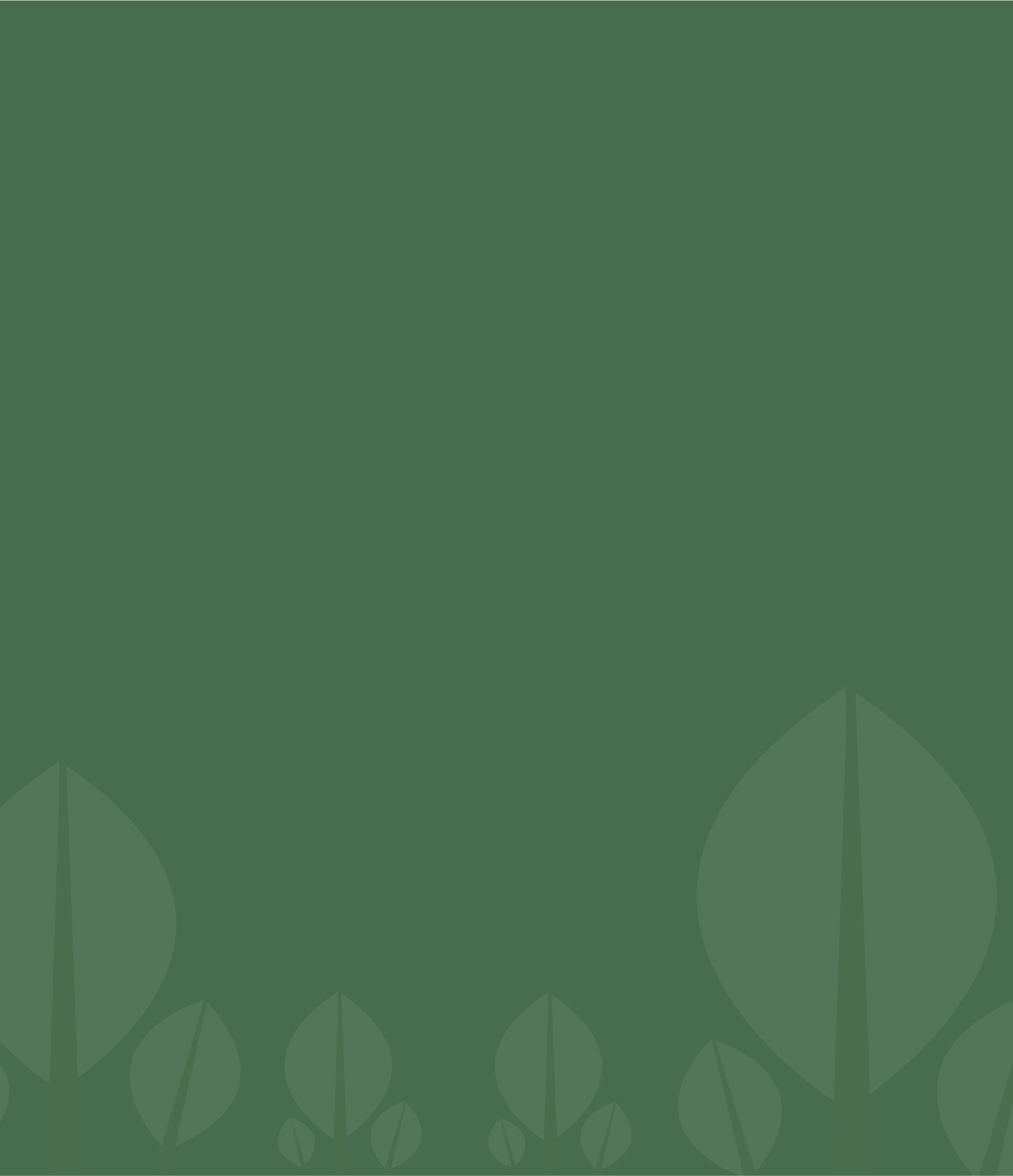 Expert Pest Control Solutions